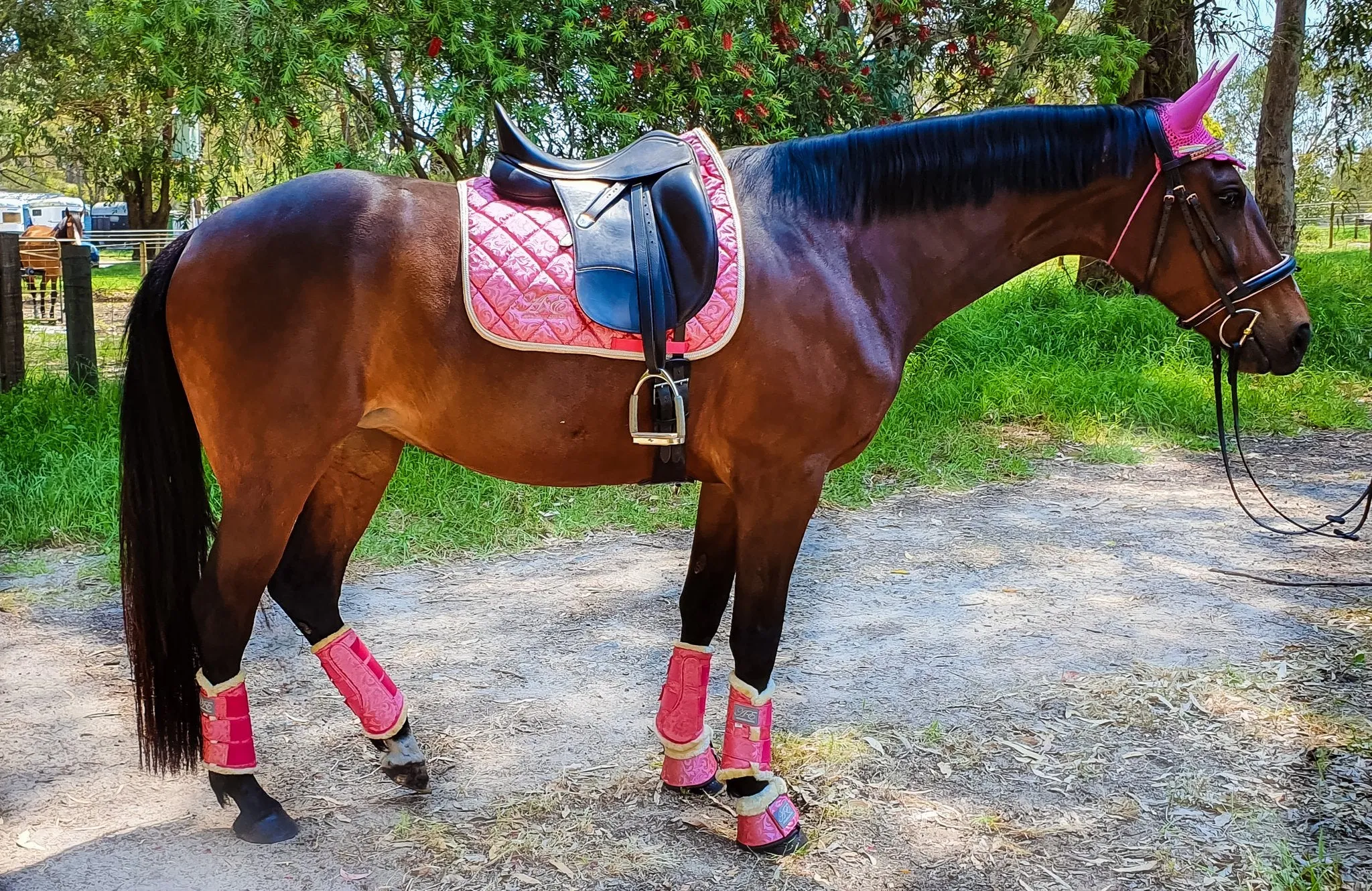 Coral Reef Exercise Boots