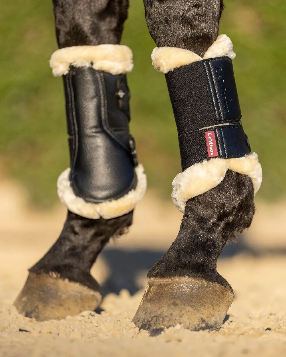 LeMieux Fleece Edged Mesh Brushing Boots