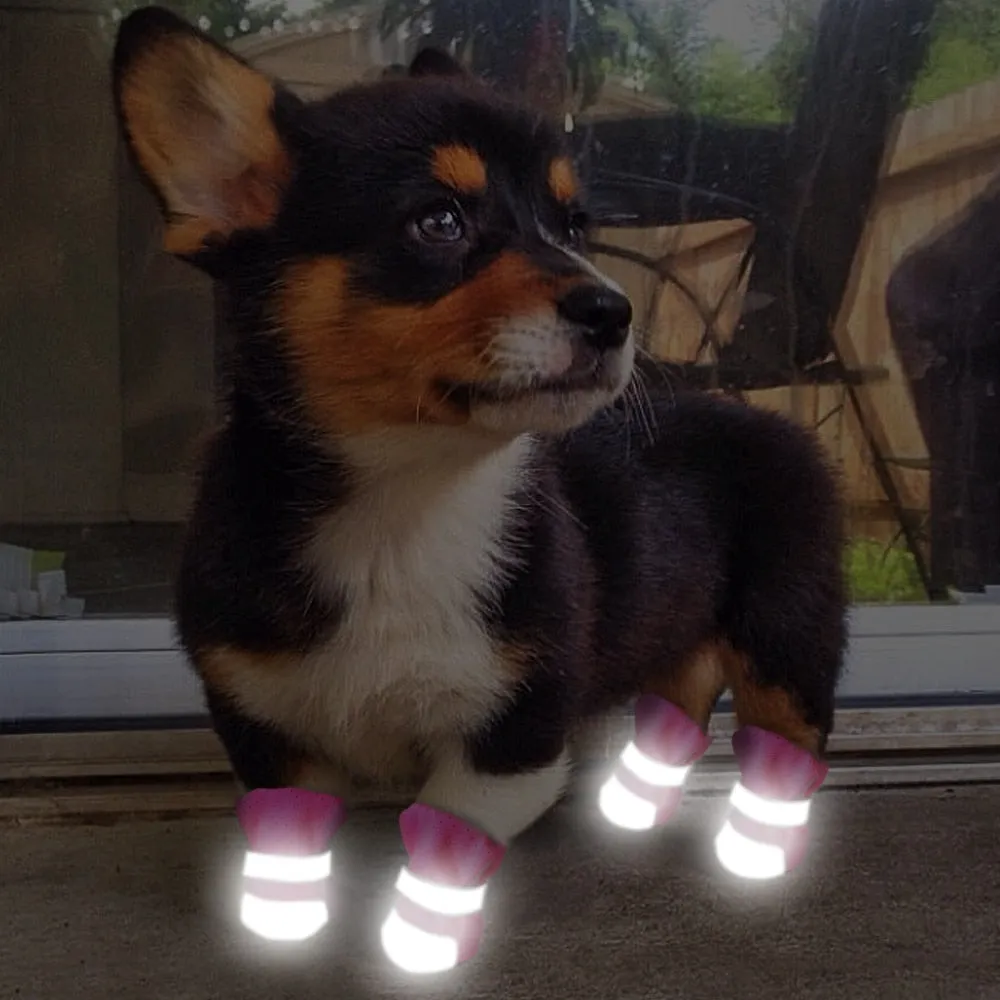 Reflective Boots for french bulldog (WS107)