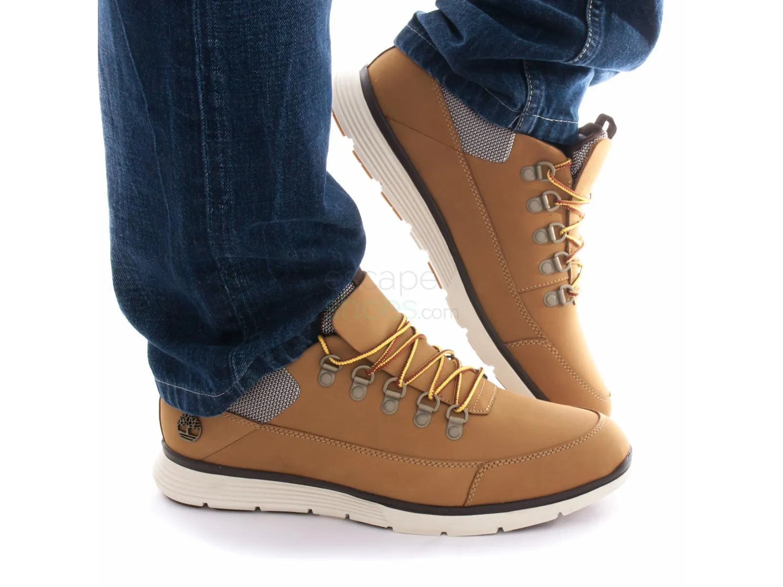 Timberland  Killington Hiker Oxford Wheat A1JIP Brown